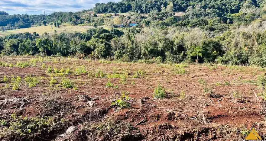 Sítio / chácara para venda no bairro linha quatro cantos em morro reuter