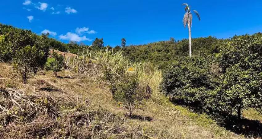 Sítio / chácara para venda no bairro linha quatro cantos em morro reuter