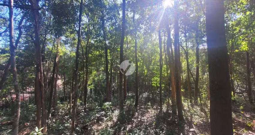Terreno em condomínio fechado à venda na Paraíso, Lote 08, Condomínio Arvoredo, Nova Lima