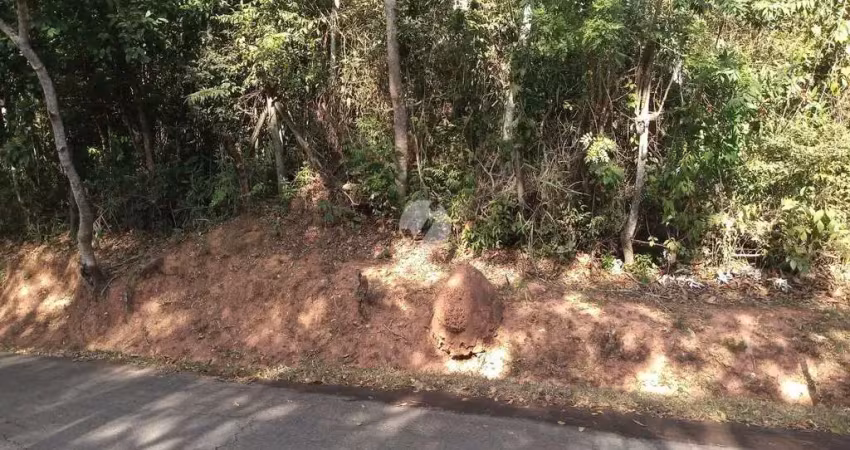 Terreno em condomínio fechado à venda na Liberdade, Lote 25, Condomínio Arvoredo, Nova Lima