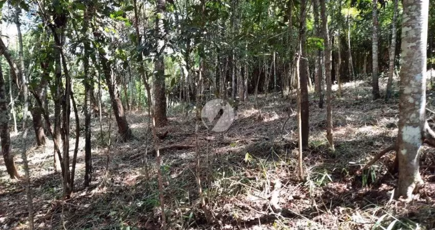 Terreno em condomínio fechado à venda na Arapongas, Lote 122, Estância Serrana, Nova Lima