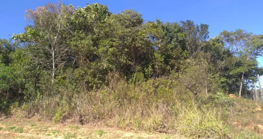 Terreno em condomínio fechado à venda na da Liberdade, Lote 12, Condomínio Arvoredo, Nova Lima