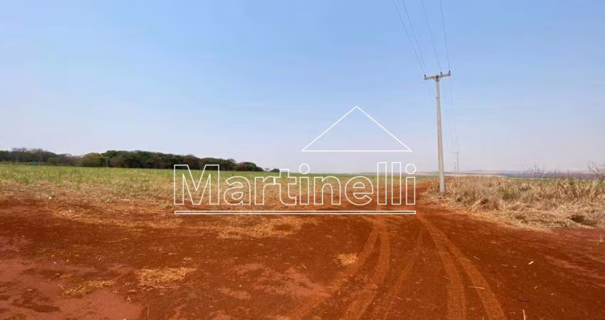 Área comercial de 130.000m² de área terreno a venda na Rodovia Anhanguera - Jardinópolis/SP.