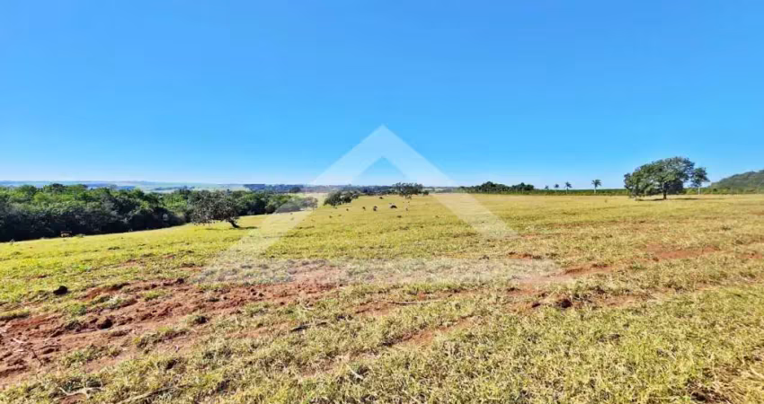 Fazenda à venda na Zona Rural, Batatais 