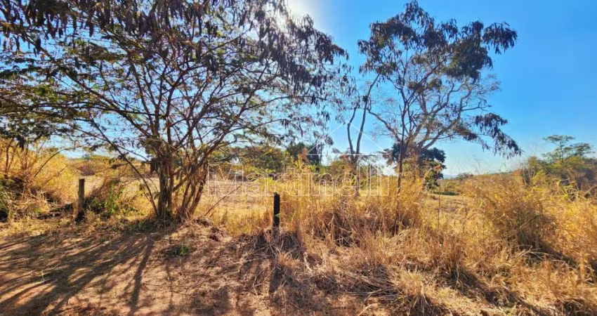 Rural Fazendas - Sitios em Ribeirão Preto