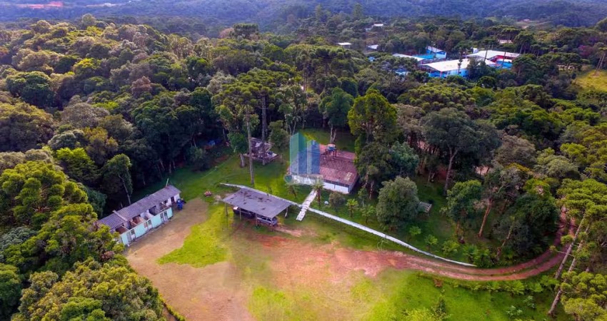 Chácara / sítio com 3 quartos à venda na Rua Humphreys Pereira Moeckel, 2550, Borda do Campo, São José dos Pinhais