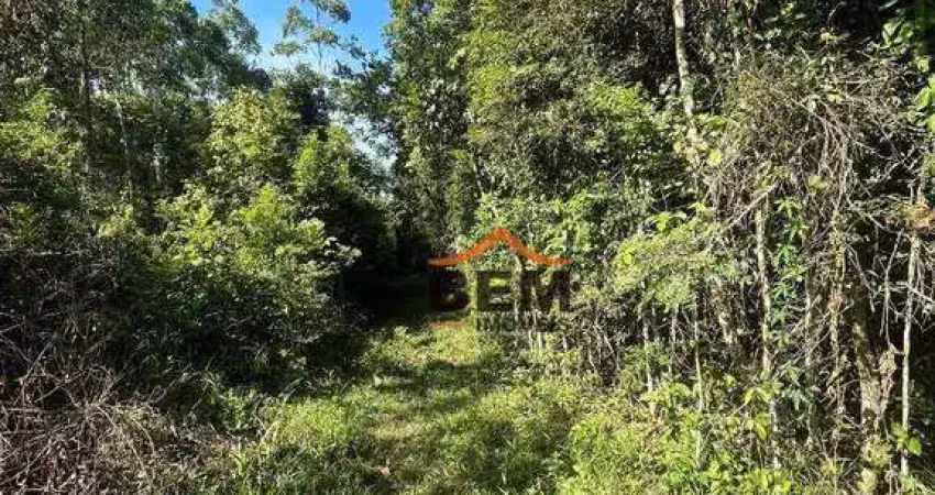 Terreno à venda, 24000 m² por R$ 960.000,00 - Brilhante I - Itajaí/SC
