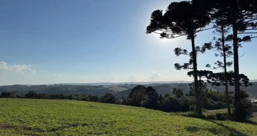 Chácara / sítio com 1 quarto à venda no Rodeio Santo Antônio, Balsa Nova 
