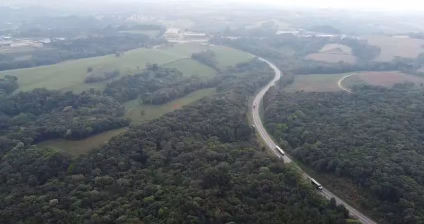Terreno comercial à venda no Botiatuva, Campo Largo 