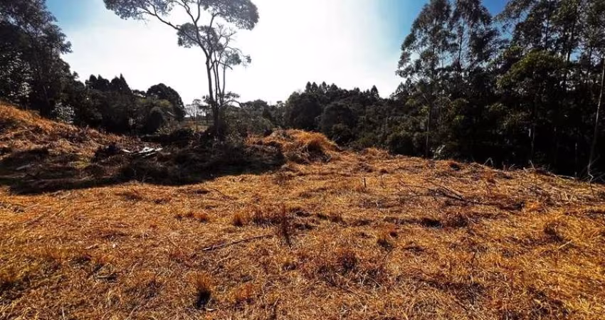 Terreno de 10.000,00 m2 de área disponível para venda!