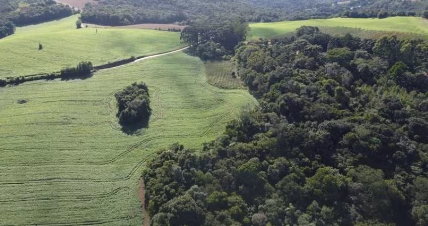 Terreno Rural com 104.000m², água mineral e natureza em Bateias!