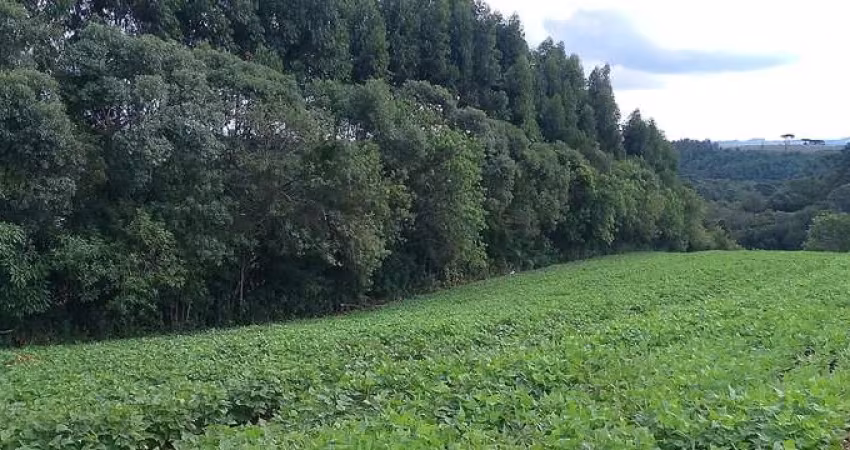 Sua Oportunidade na PR-510: Terreno Rural Estratégico em Balsa Nova!