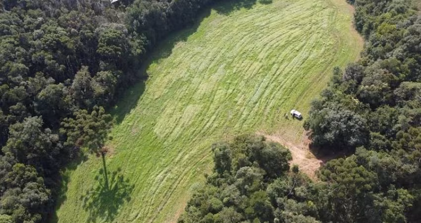 Chácara / sítio à venda na Colônia Balbino Cunha, Campo Largo 