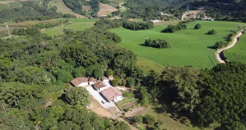 Chácara com 129.000m², água mineral e natureza em Bateias!