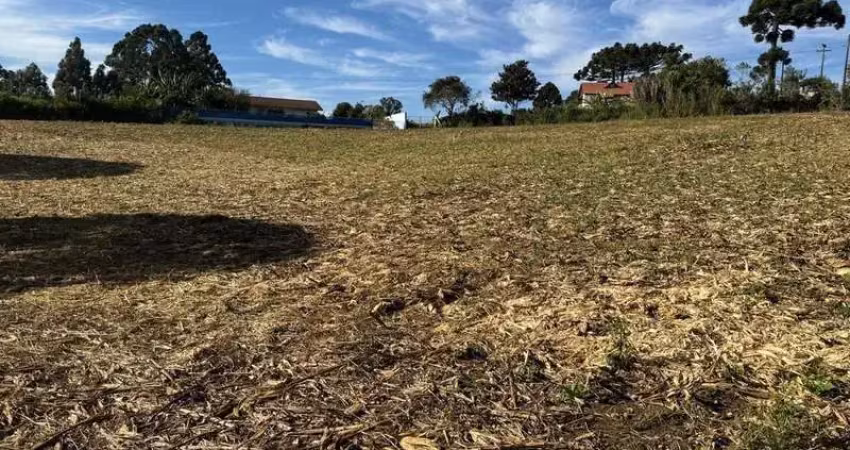 Terreno dos seus sonhos em localização priveligiada