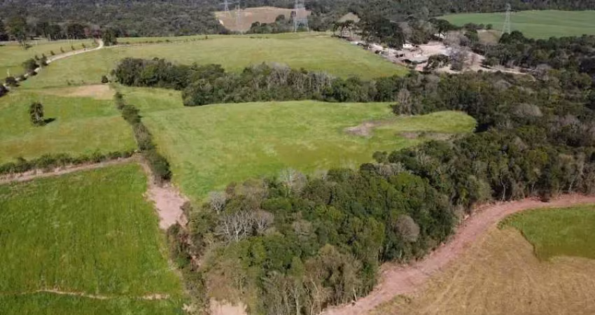 Chácara com áreas a partir de 20.000m² no felpudo, com vista deslumbrante!