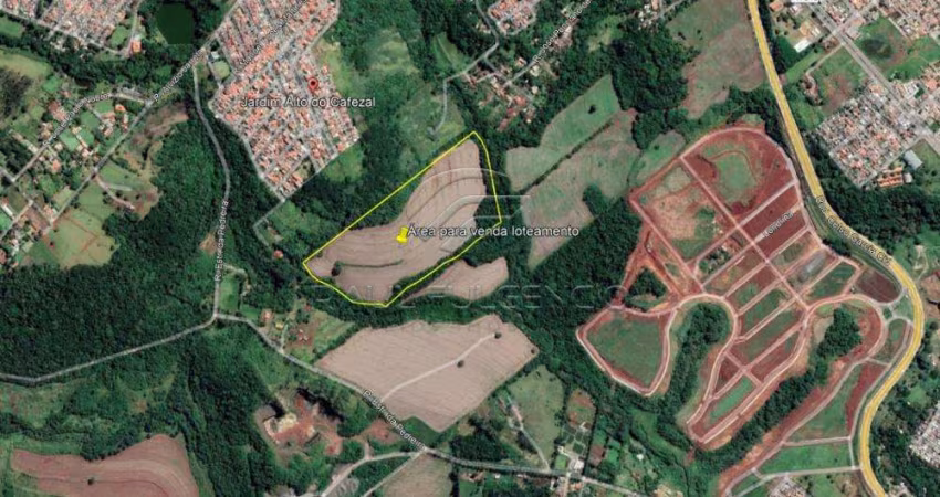 Área na Reserva Saltinho