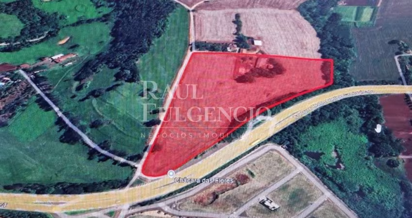 Terreno Industrial | Ibiporã