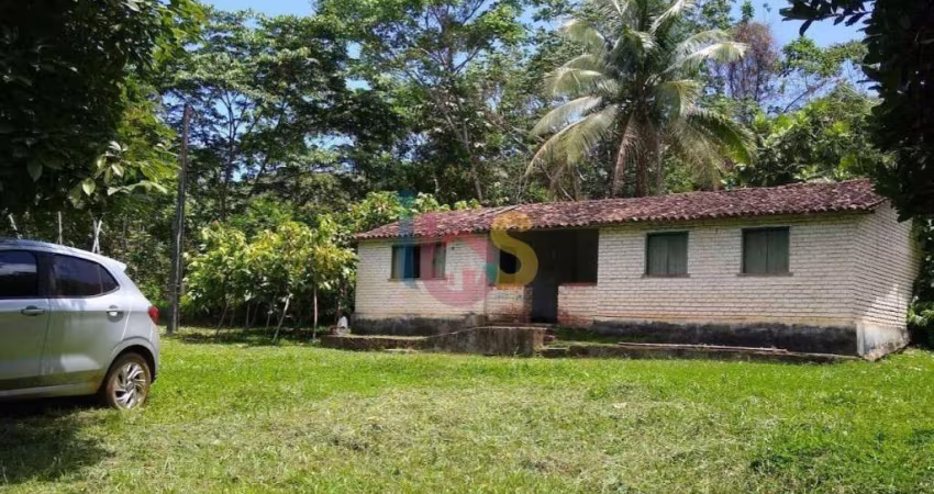 VENDO EXCELENTE FAZENDA PRODUTORA DE CACAU E SERINGA