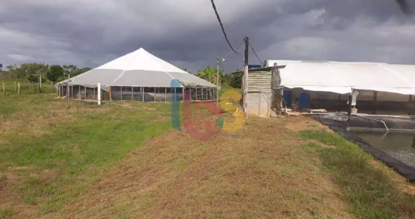 Vendo Fazenda Vida Nova