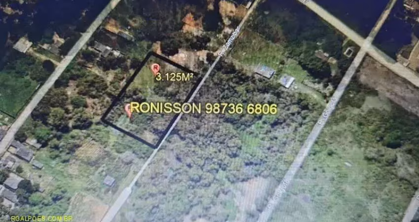 Terreno em condomínio fechado à venda na Estrada Velha do Pilar, Parque Capivari, Duque de Caxias