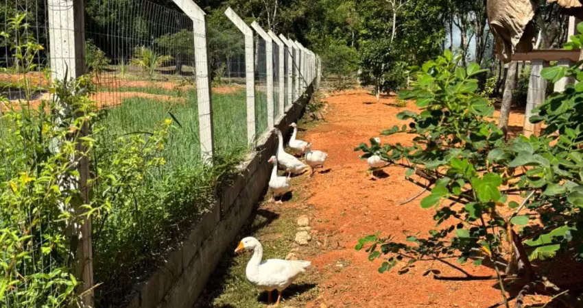 Vende-se linda chácara em itanhaém – bairro jardim aguapeú!