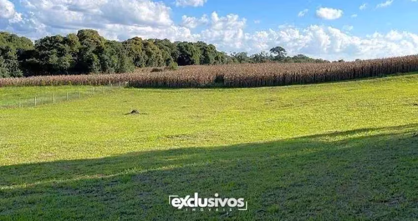 Sítio quinta da bela vista com 3.527 m² à venda em campo alegre