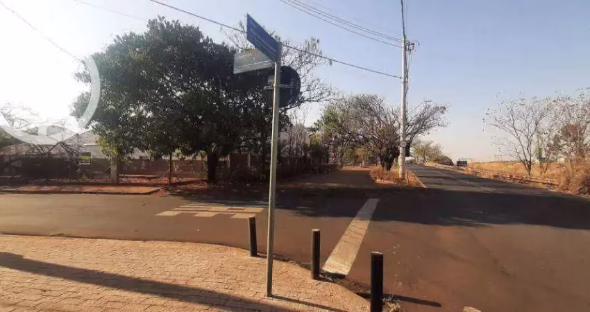 Oportunidade imperdível: área comercial à beira da rodovia!