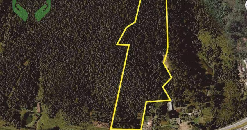 Área à venda, 63202 m² por R$ 8.220.000,00 - Itaquaciara - Itapecerica da Serra/SP