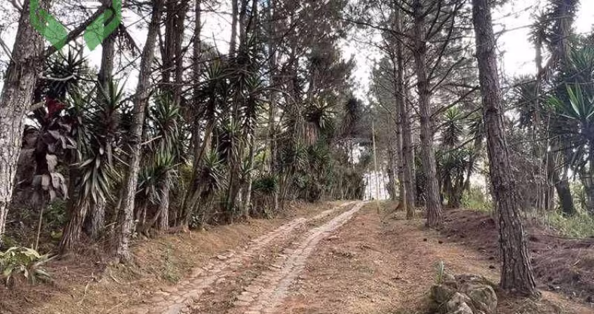 Área à venda, 18455 m² por R$ 7.000.000,00 - Cotia - Cotia/SP