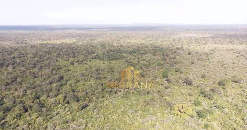 Terreno à venda no piauí, 1615 hectares por r$ 7.267.500