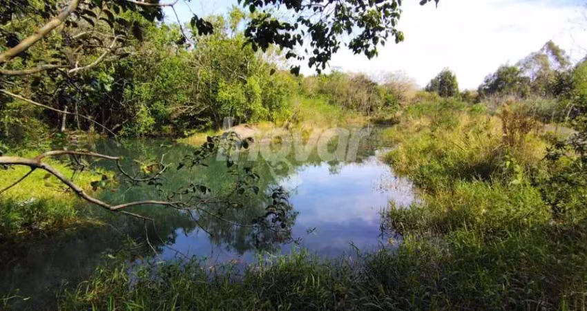 Chácara / sítio com 3 quartos à venda na SAÍDA PARA VERA CRUZ, Centro, São Pedro do Iguaçu