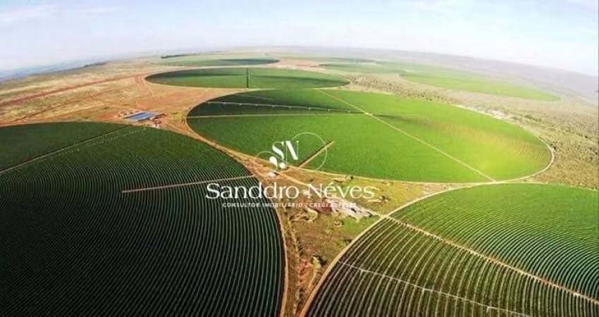 Fazenda de Café À Venda, R$ 330.000.000 - 2.050 Hectares na Região de Buritizeiro – MG