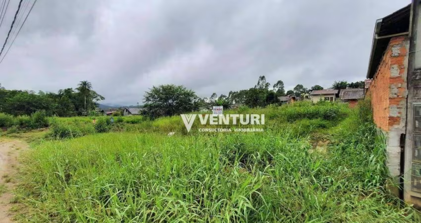 Terreno à venda, 662 m² por R$ 250.000,00 - Araponguinhas - Timbó/SC