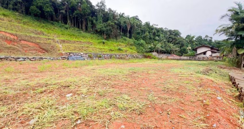 Terreno à venda, 3200 m² por R$ 1.900.000,00 - Fortaleza - Blumenau/SC