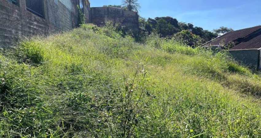 Terreno à venda, 450 m² por R$ 450.000,00 - Velha - Blumenau/SC