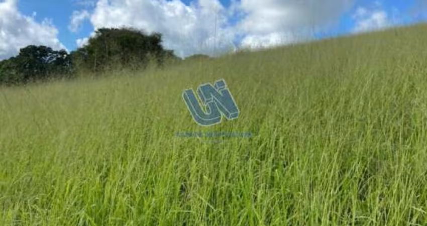 Fazenda em Pedrão com 100 tarefas
