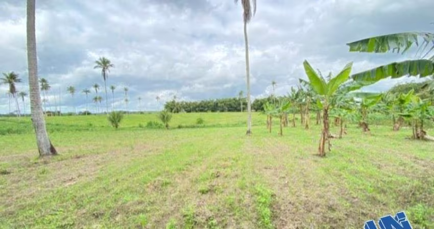 Fazenda com 66 hectares em Amélia Rodrigues