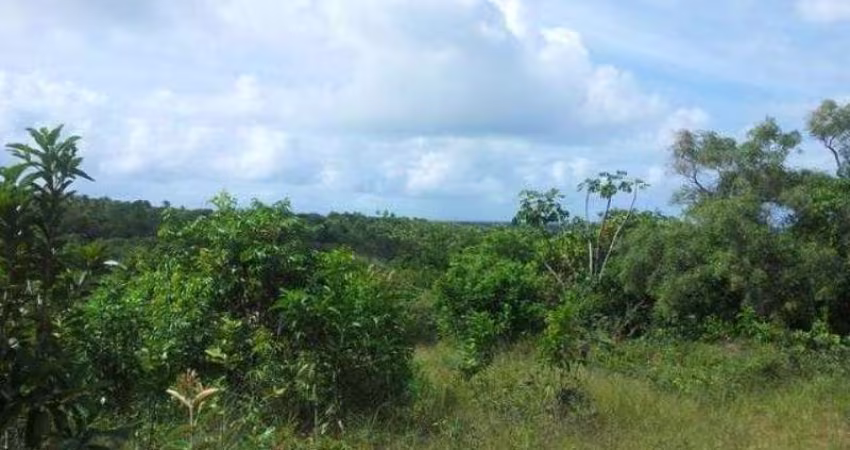 TERRENO EM MALHADAS NO ASFALTO perto de Praia do Forte