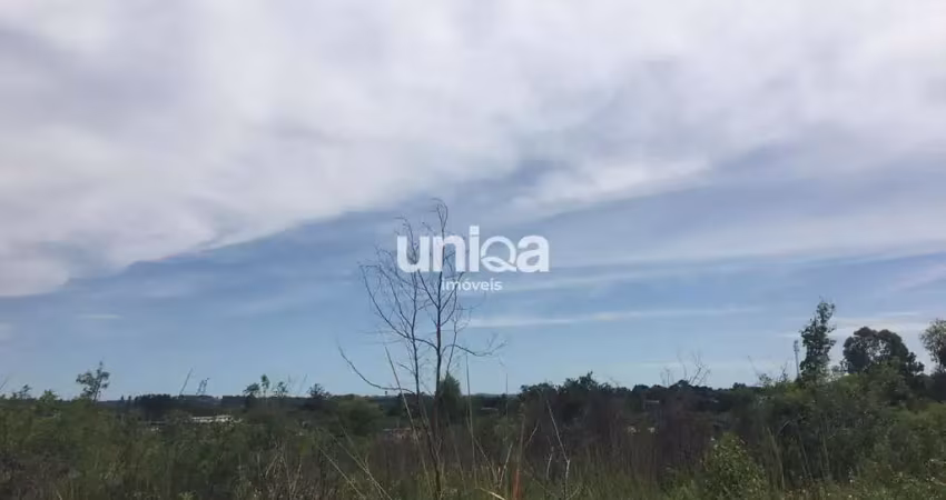 Terreno à venda na Estrada Antônio Ignácio de Ávila, s n, Diácono João Luiz Pozzobon, Santa Maria
