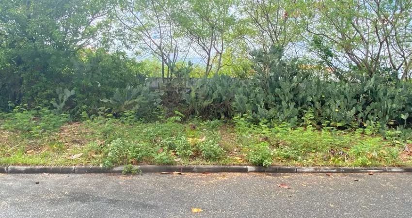 Terreno à Venda em Itapuã – Oportunidade Única!