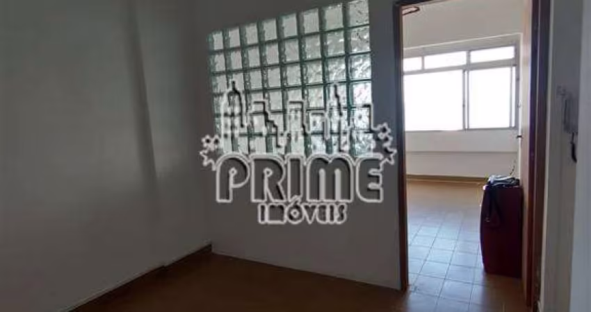 KITÃO PARA VENDA