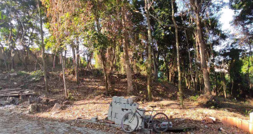 Terreno à venda, 1460 m² por R$ 1.350.000,00 - Maravista - Niterói/RJ