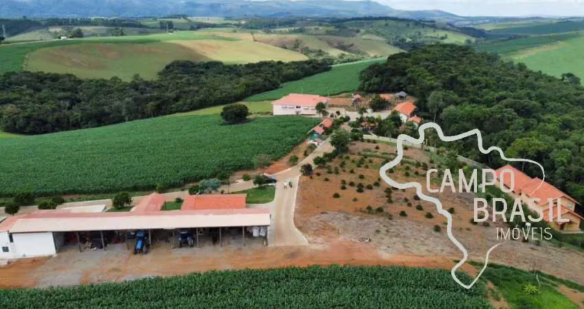 Fazenda 70.66 alqueires com belíssima estrutura para pecuária e lavoura !
