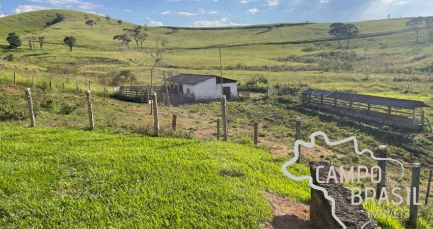 FAZENDA 127 HECTARES ! ÓTIMA LOCALIZAÇÃO E TOPOGRAFIA MÉDIA !