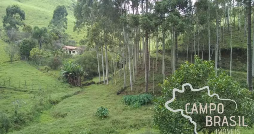Chácara / sítio com 2 quartos à venda na Estrada principal, Zona Rural, Paraibuna