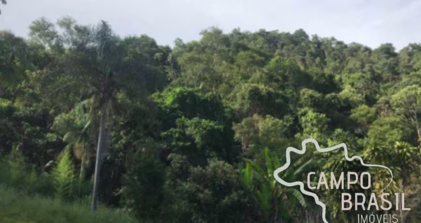 ÁREA RURAL 10 ALQUEIRES EM SÃO FRANCISCO XAVIER !