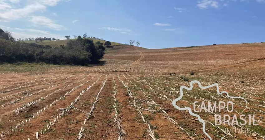FAZENDA 250 HECTARES DE  CRIAÇÃO DE ZEBUÍNO, NELORE MOCHO, PURO DE ORIGEM (PO), PORTEIRA FECHADA NO SUL DE MINAS GERAIS!