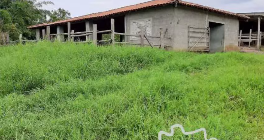 Sítio em caçapava 5 alqueires com ótima topografia!