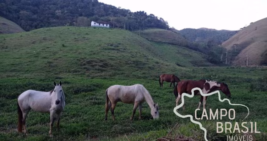 ÓTIMO SÍTIO 6 ALQUEIRES EM SÃO FRANCISCO XAVIER COM MUITA ÁGUA!